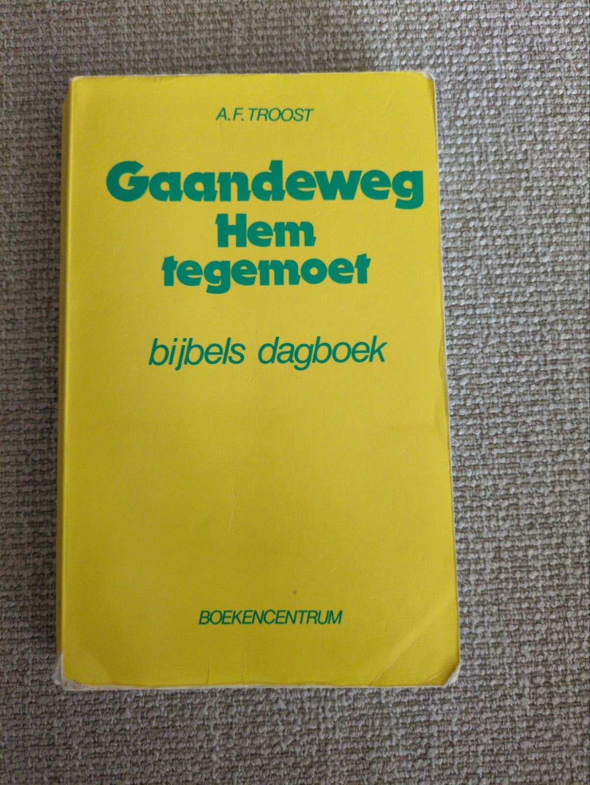 Dagboek 'Gaandeweg Hem tegemoet' van A.F. Troost, Boeken, Gelezen, Christendom | Protestants, Ophalen of Verzenden, A.F. Troost