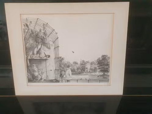 litho Peter VOS ( 1935 - 2010) Artis Fenix griffioen 48/50, Ophalen