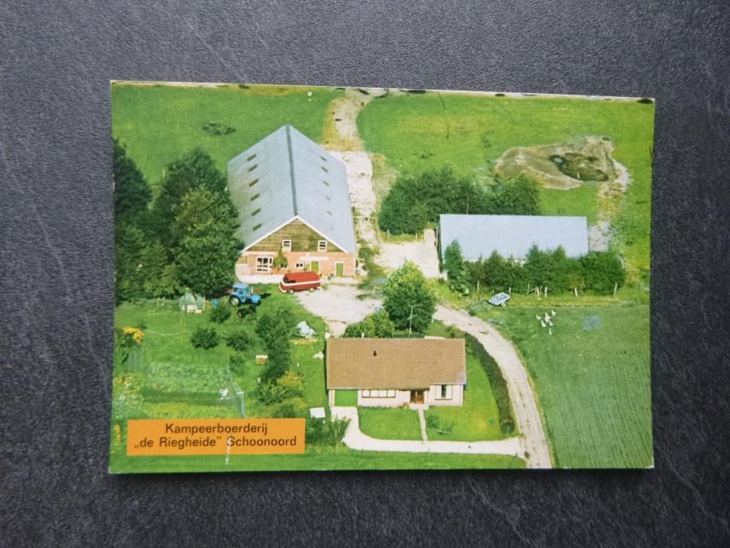 Schoonoord, kampeerboerderij de Riegheide/luchtfoto 1980, Verzenden, 1980 tot heden, Ongelopen, Noord-Brabant
