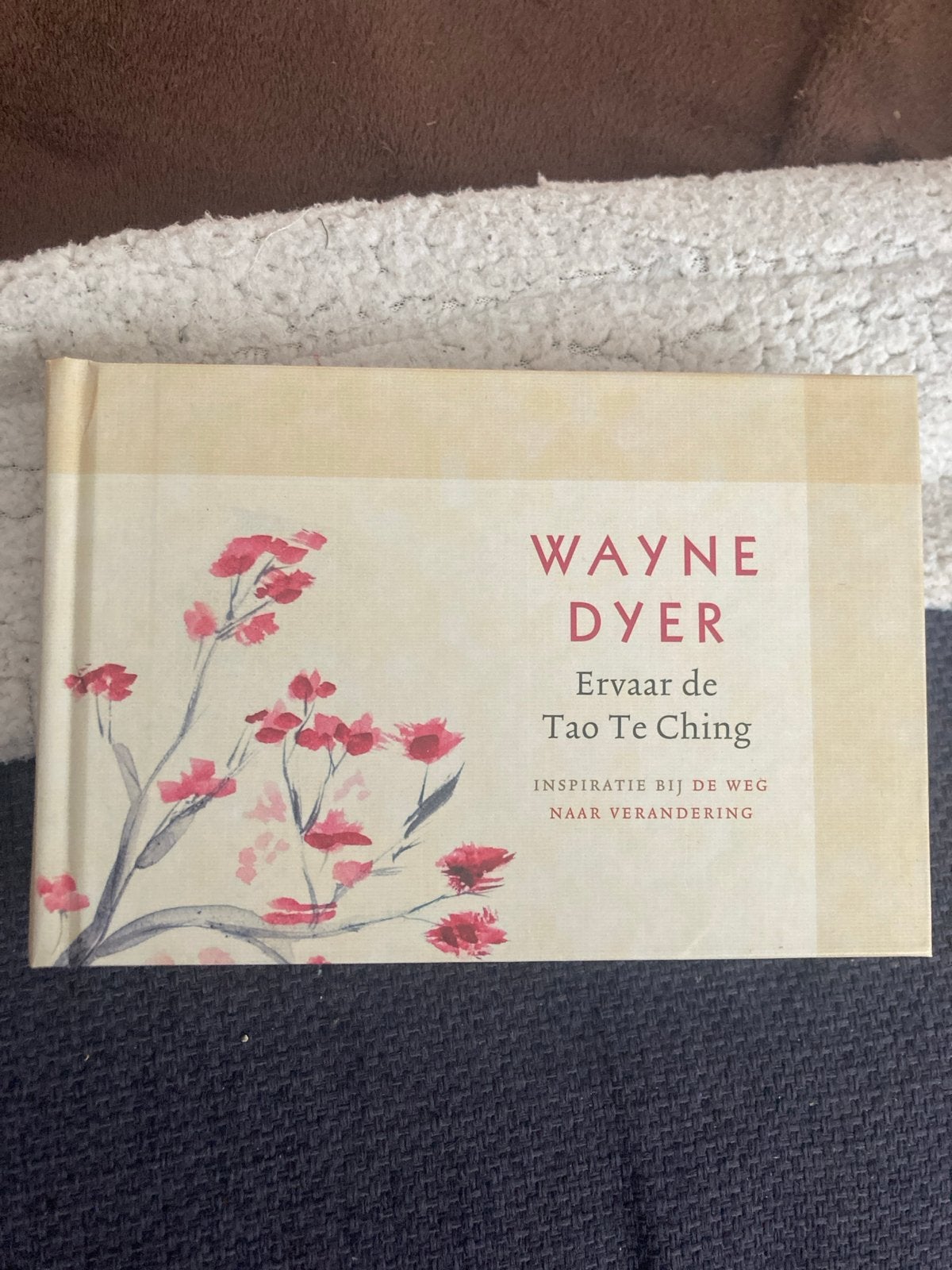 Ervaar de Tao Te Ching - Wayne Dyer, Boeken, Ophalen of Verzenden, Zo goed als nieuw, Spiritualiteit algemeen, Achtergrond en Informatie
