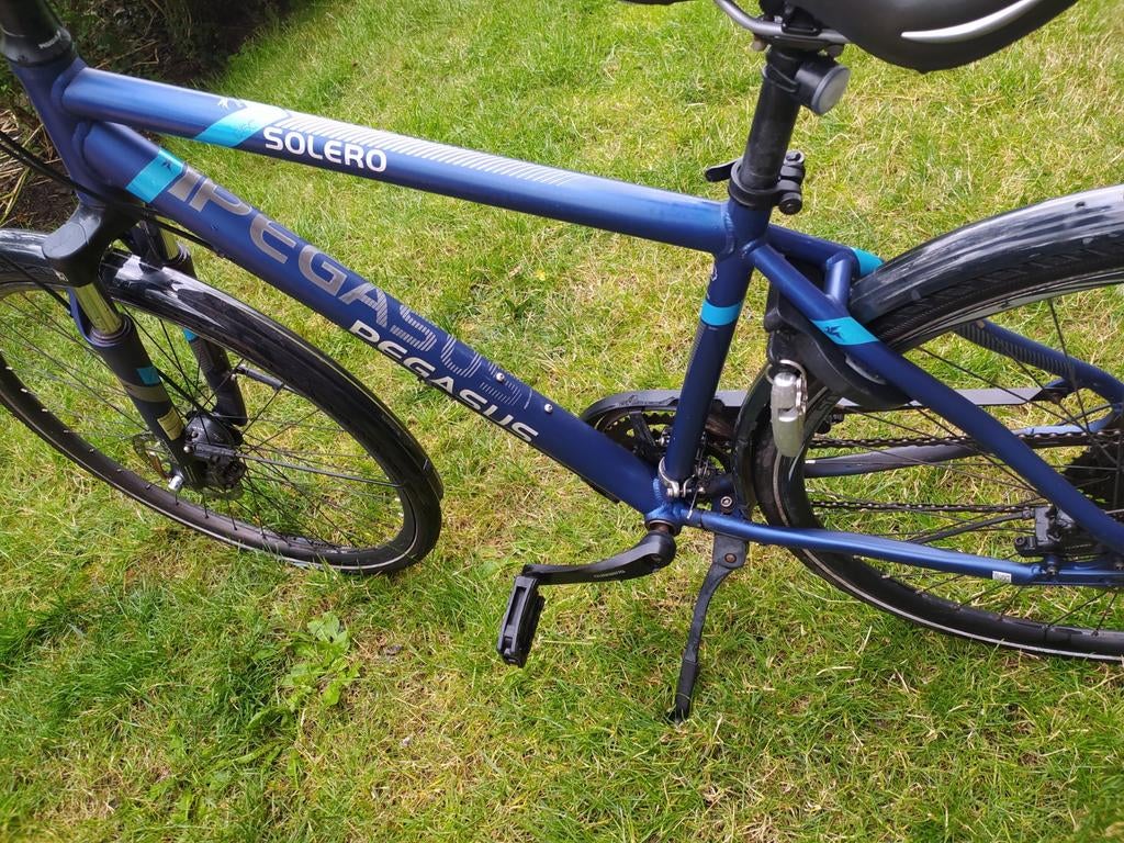 Pegasus Solero SL, trekking, mt L, olie gevulde remmen, izst, Ophalen, Zo goed als nieuw, Meer dan 20 versnellingen, Overige merken