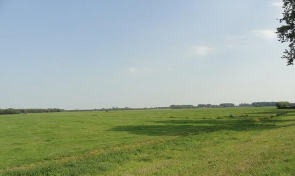 gezocht: weiland om te huren omgeving Breda/ Tilburg