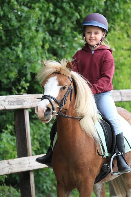 🐴 Paardrijles voor kinderen 🐴, Ophalen, Nieuw