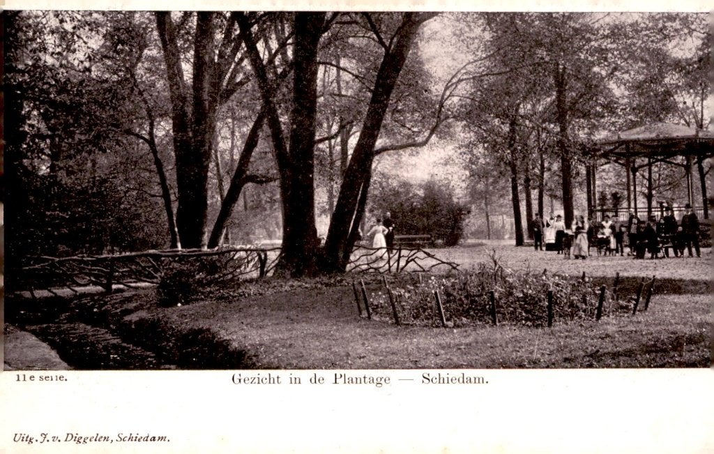 Schiedam Gezicht in de Plantage # 534, Verzenden, Voor 1920, Ongelopen, Zuid-Holland