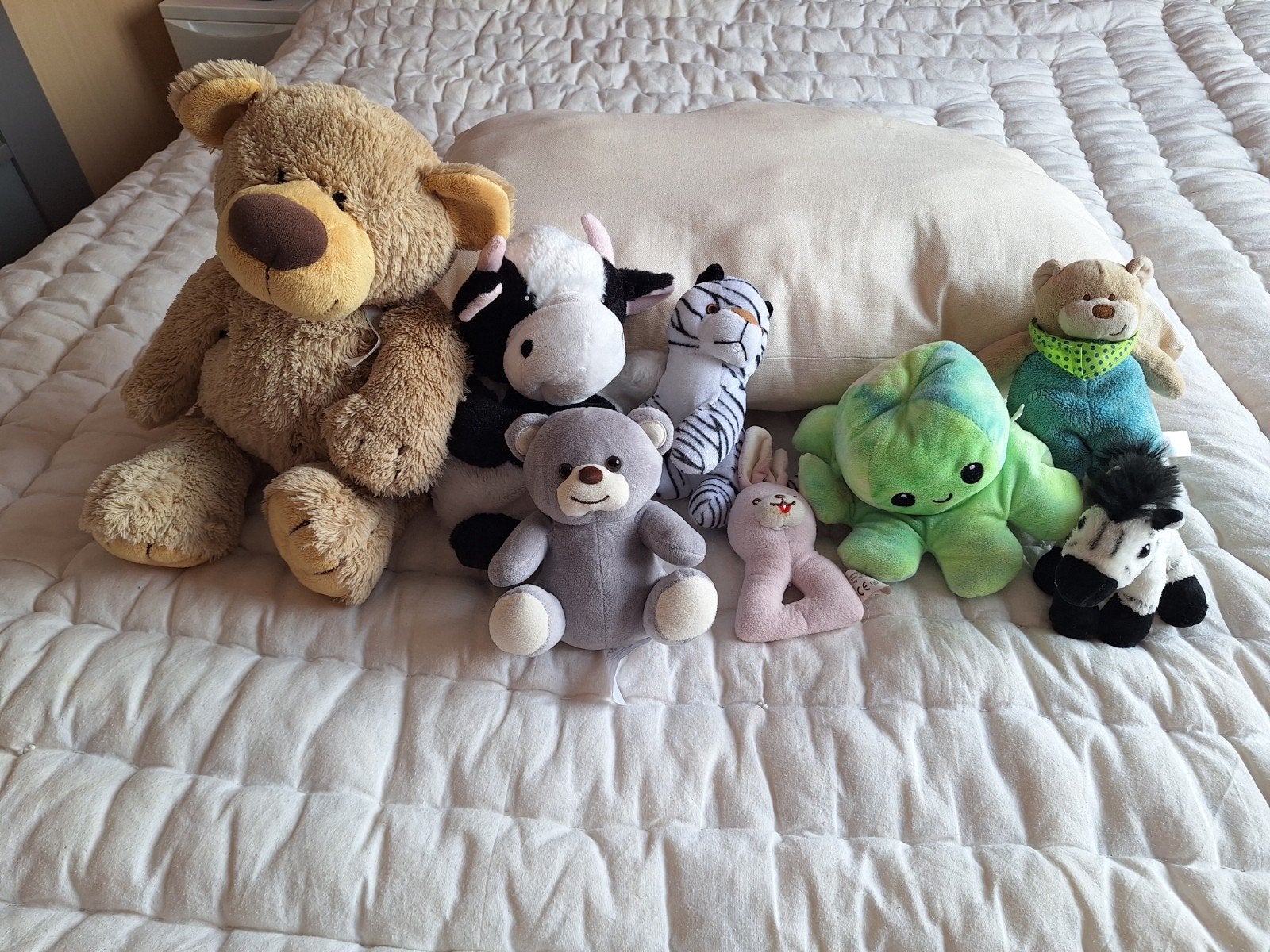Gratis diverse knuffelen, Ophalen, Overige typen