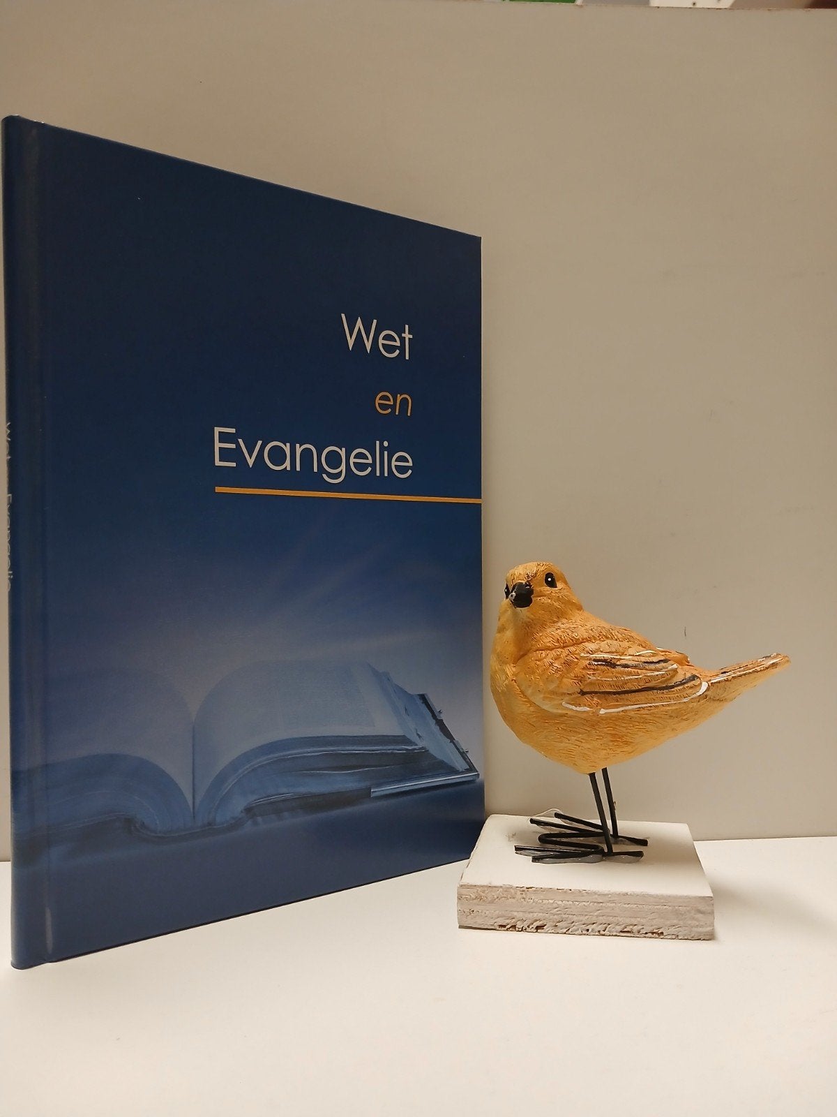 Ger. Gem. in Ned; Wet en Evangelie, Ophalen of Verzenden, Gelezen, Christendom | Protestants