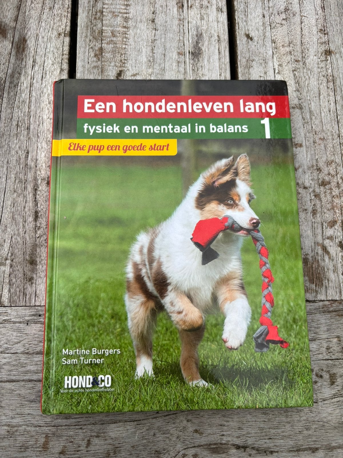 Een hondenleven lang - deel 1- elke pup een goede start, Boeken, Dieren en Huisdieren, Ophalen of Verzenden, Zo goed als nieuw