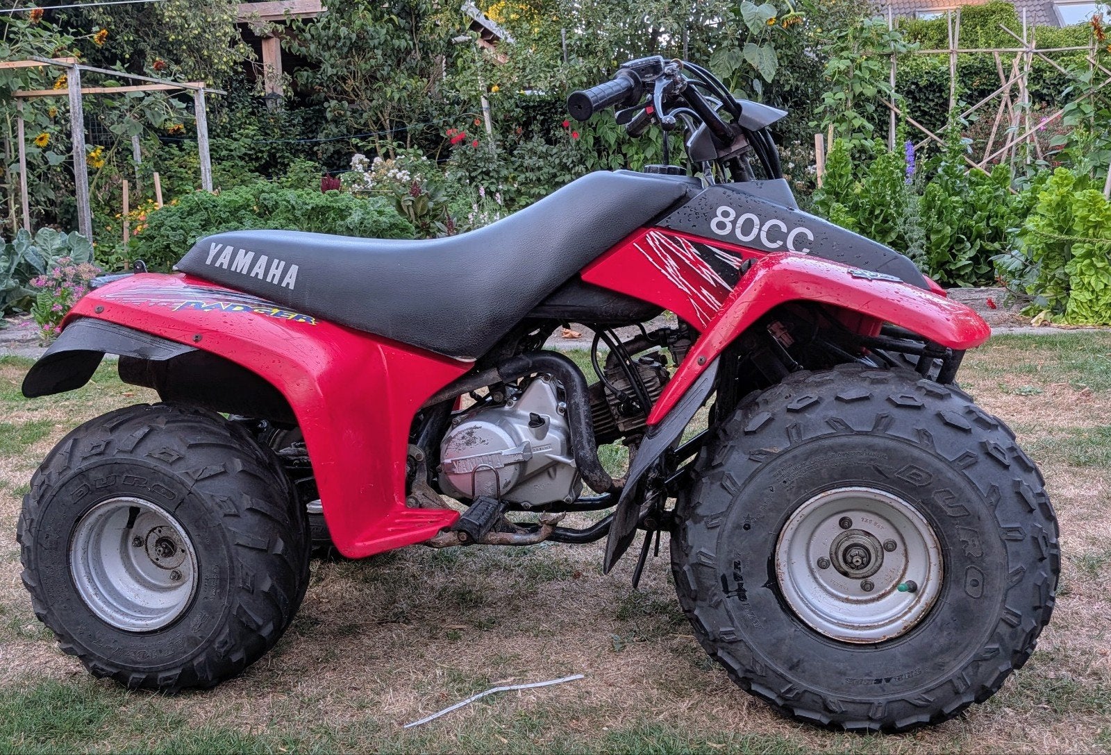 Betrouwbare Yamaha Badger 80cc (YFM 80) Kinderquad, Ophalen, Gebruikt, Yamaha, 80 cc