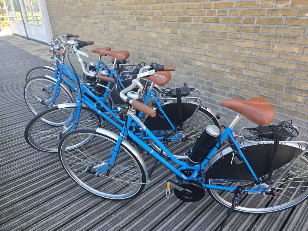 Roetz E-Bike fietsen ZGAN-Pendix midden motor, Overige merken, Bakfietsenwinkel, Info@bakfietsenwinkel.com, 2461AA