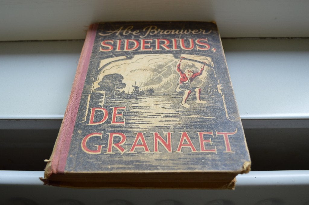 Friese boeken, Ophalen of Verzenden, Gelezen