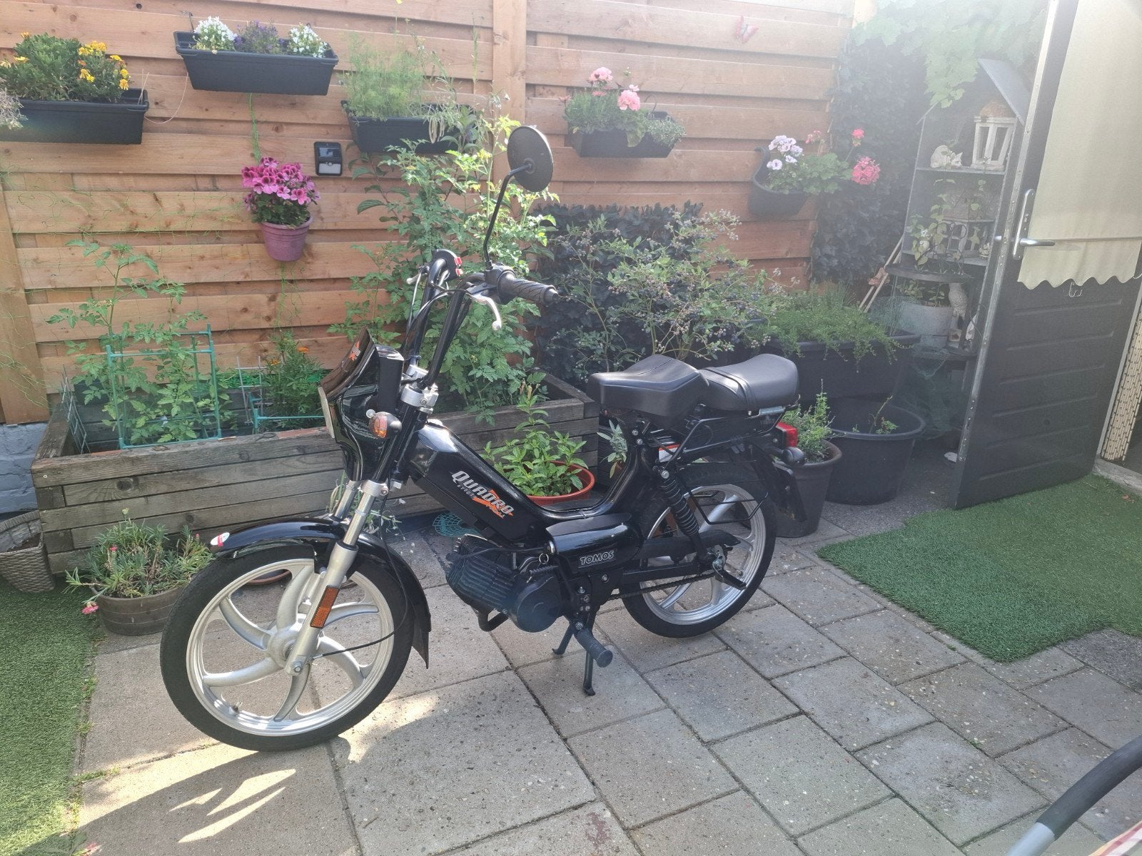 Tomos Quadro snor nieuwe type 2016 met weinig  km als nieuw, Fietsen en Brommers, Ophalen, Zo goed als nieuw, Quadro