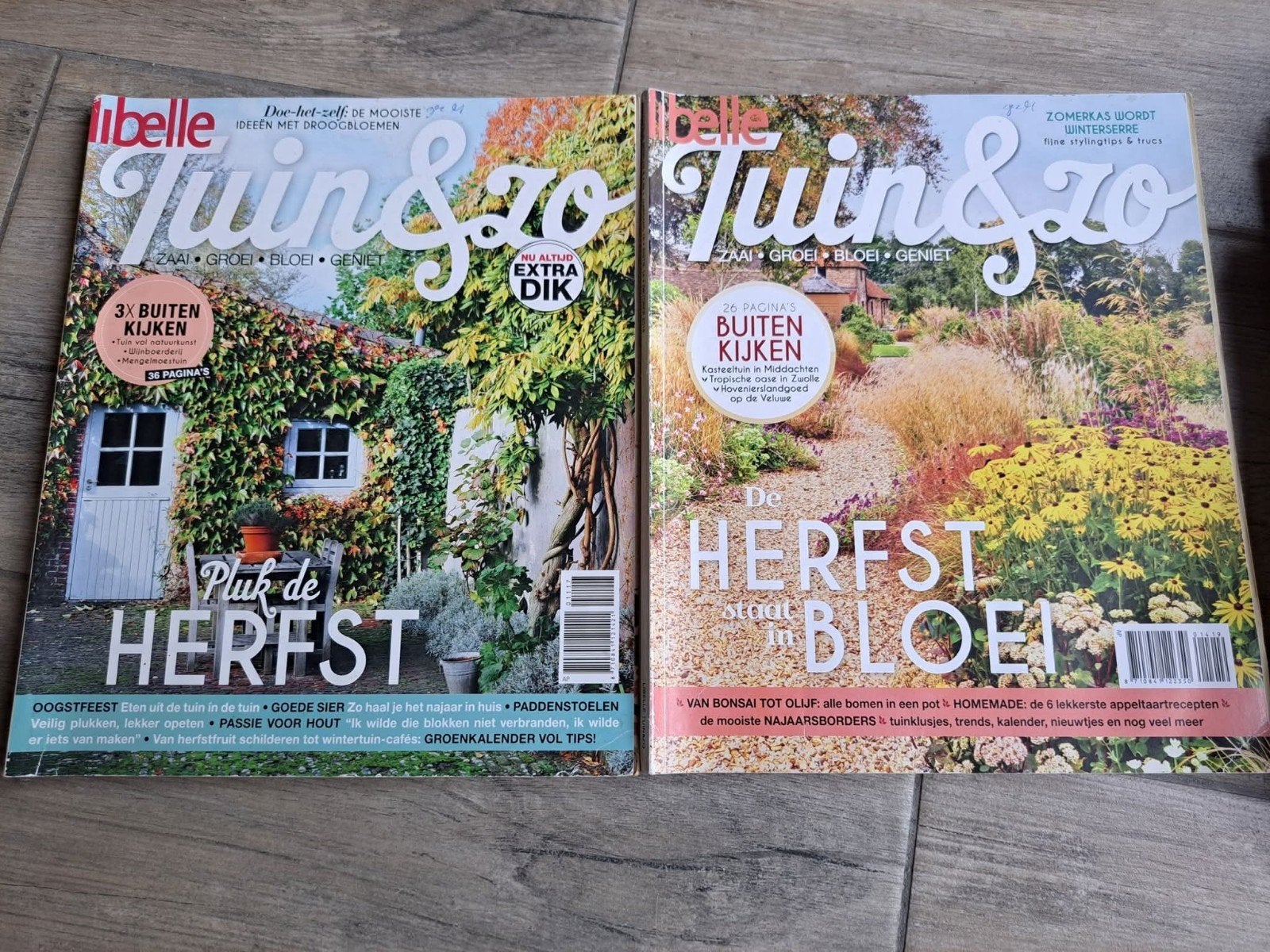 Libelle Tuin &Zo, Boeken, Ophalen of Verzenden, Gelezen, Damesbladen