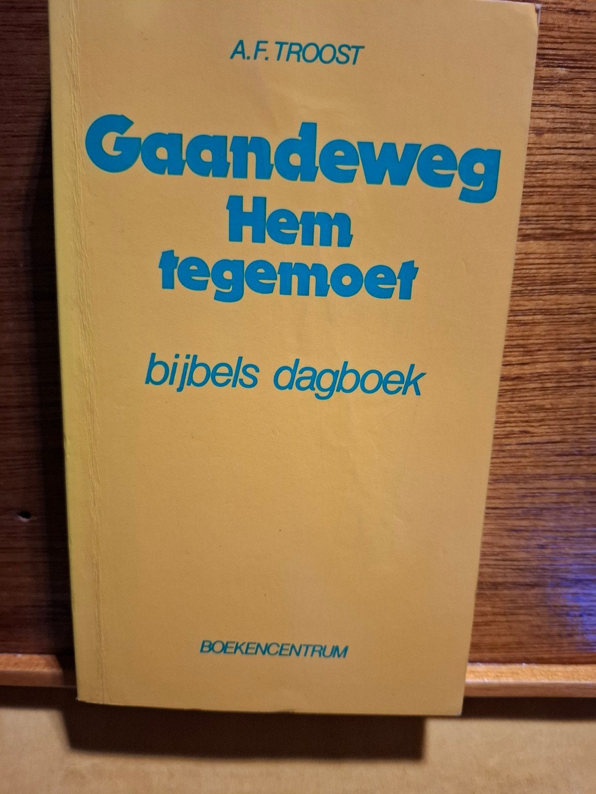 Gaandeweg Hem tegemoet - Bijbels dagboek A.F. Troost, Boeken, Ophalen of Verzenden, Gelezen, A.F. Troost, Christendom | Protestants