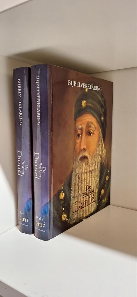 G.A. van de Weerd - I en ll Bijbelverklaring Daniel, Ophalen of Verzenden, Zo goed als nieuw, G.A. van de Weerd
