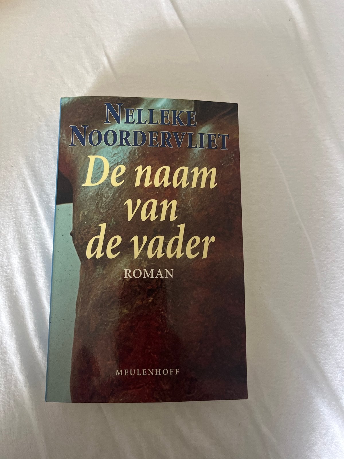 Nelleke Noordervliet - De naam van de vader (Roman), Ophalen of Verzenden, Gelezen, Nederland