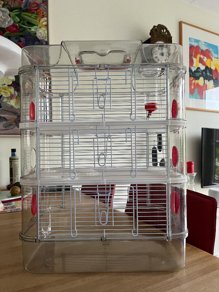 hamsterkooi, Dieren en Toebehoren, Kooi, Minder dan 75 cm, Ophalen, Minder dan 60 cm