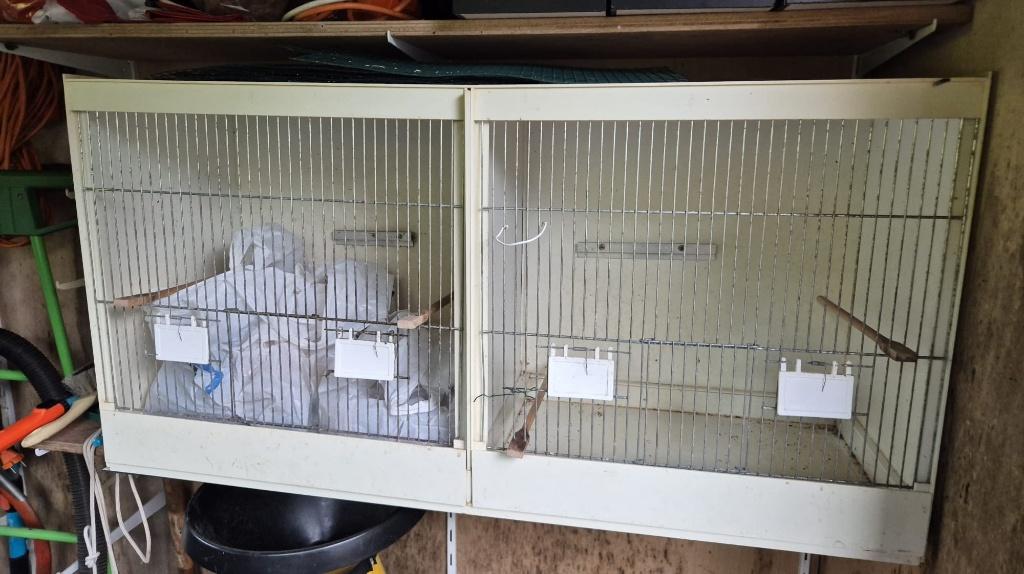 Broedkooi, Dieren en Toebehoren, Ophalen, Gebruikt, Kunststof, Broedkooi of Kweekkooi