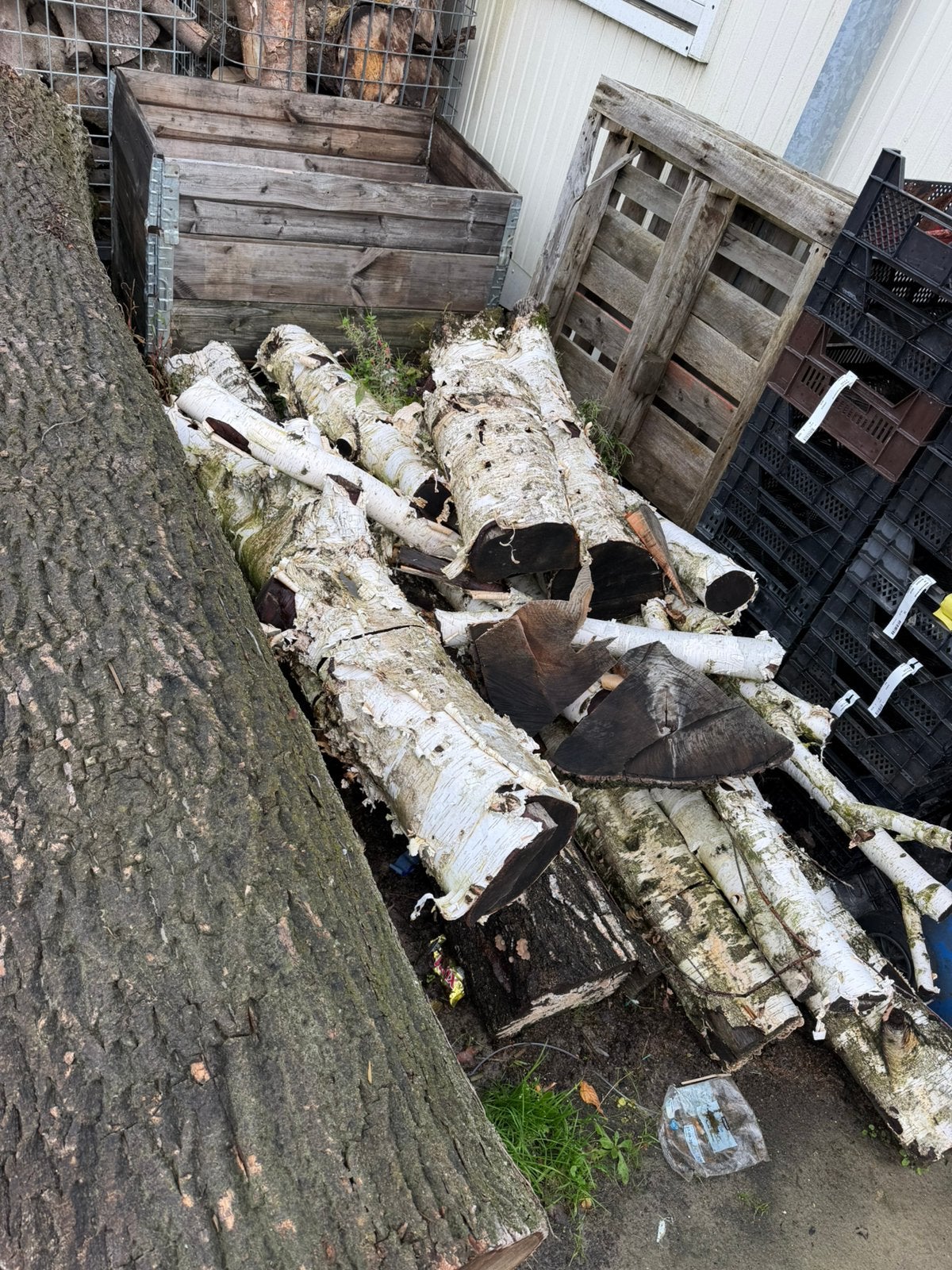 Brandhout / haardhout berk, Minder dan 3 m³, Ophalen