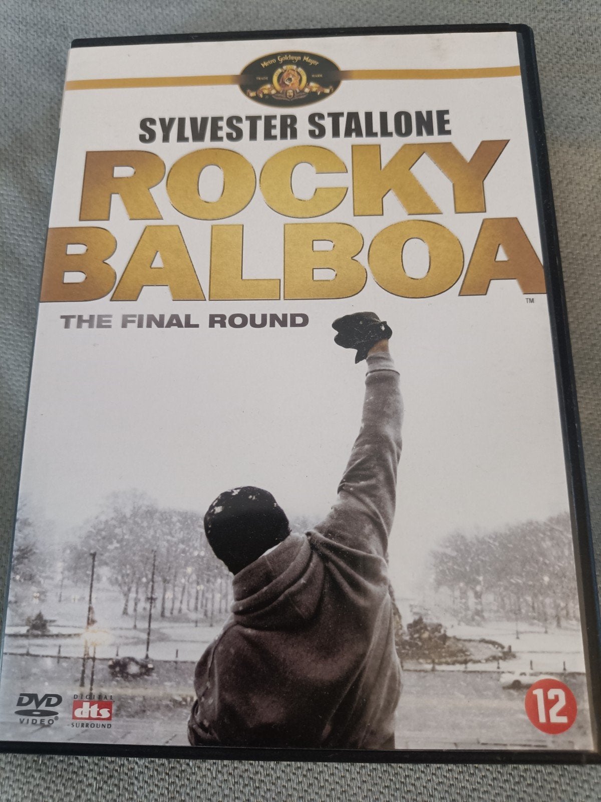 Rocky Balboa - The Final Round DVD, Inclusief doosje, Ophalen of Verzenden, Vanaf 12 jaar, Gebruikt