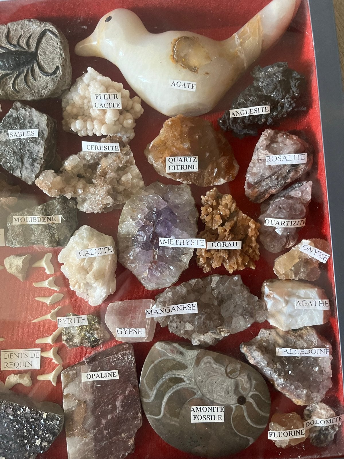 Grote collectie mineralen, fossielen en schelpen in lijst, Verzamelen, Mineralen en Fossielen, Ophalen, Mineraal