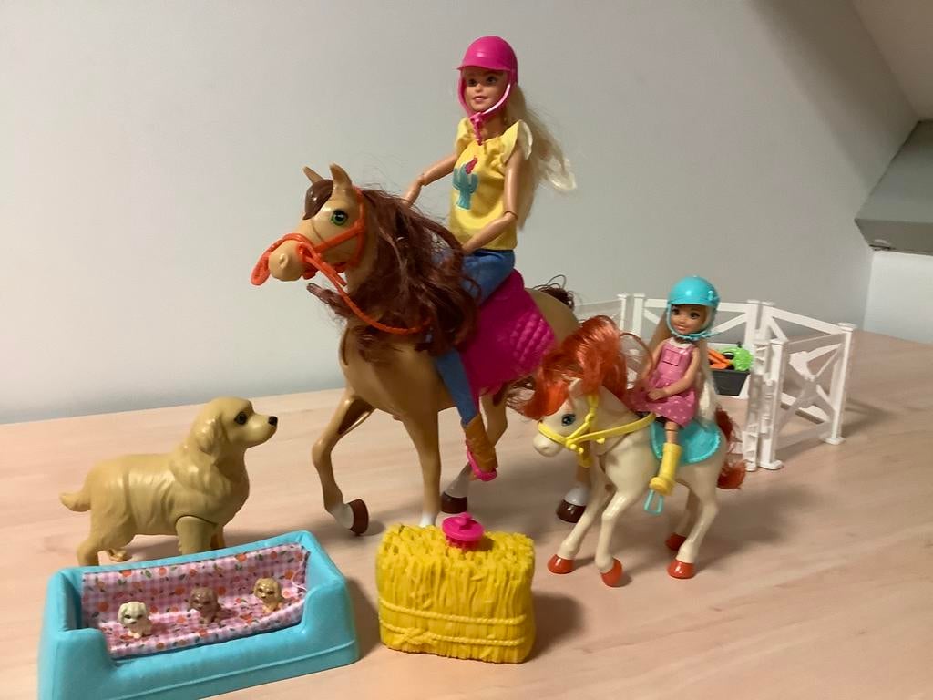 Barbie - Paard en Pony met 2 poppen en 2 paarden, Ophalen of Verzenden, Barbie