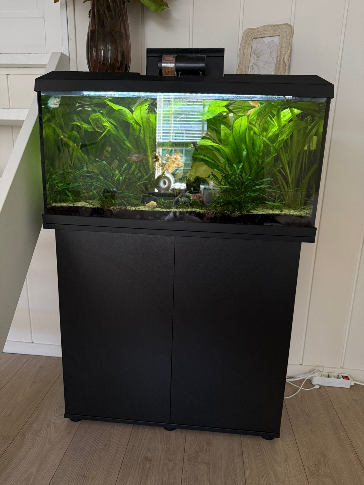 Compleet Juwel 110L Aquarium incl Planten en Vissen, Dieren en Toebehoren, Ophalen, Inclusief vissen, Juwel, Gevuld zoetwateraquarium