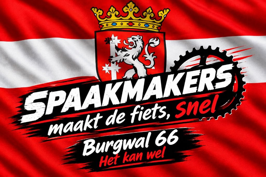 spaakmakers maakt de fiets de snelste van Haarlem!, Fietsverhuur, Fietsreparatie