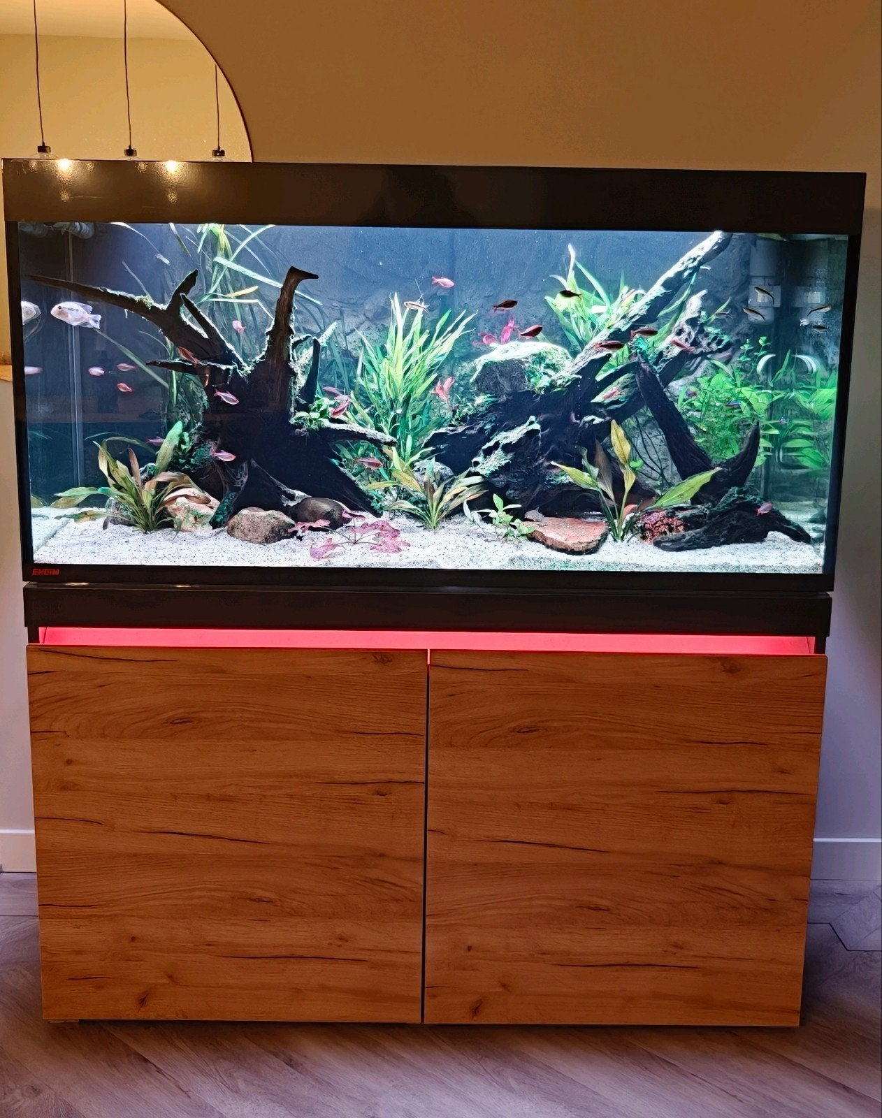 Aquarium Eheim Incperia 430, Chihiros led en CO2, Oase bioma, Dieren en Toebehoren, Ophalen, Gebruikt, Eheim, Inclusief controller