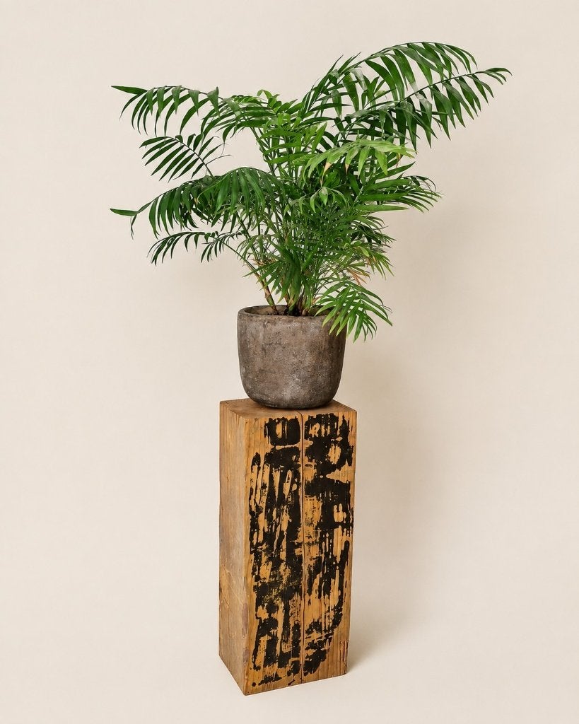 Blok - zuil - bijzettafeltje - verhoger - oud grenen 50cm, Houtatelier M.Y., Info@myhoutatelier.nl, Nieuw, Ophalen of Verzenden