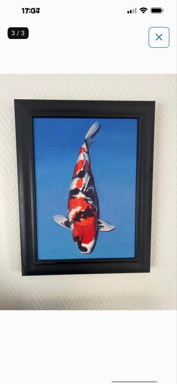 Schilderij van Koi karper in lijst, Ophalen