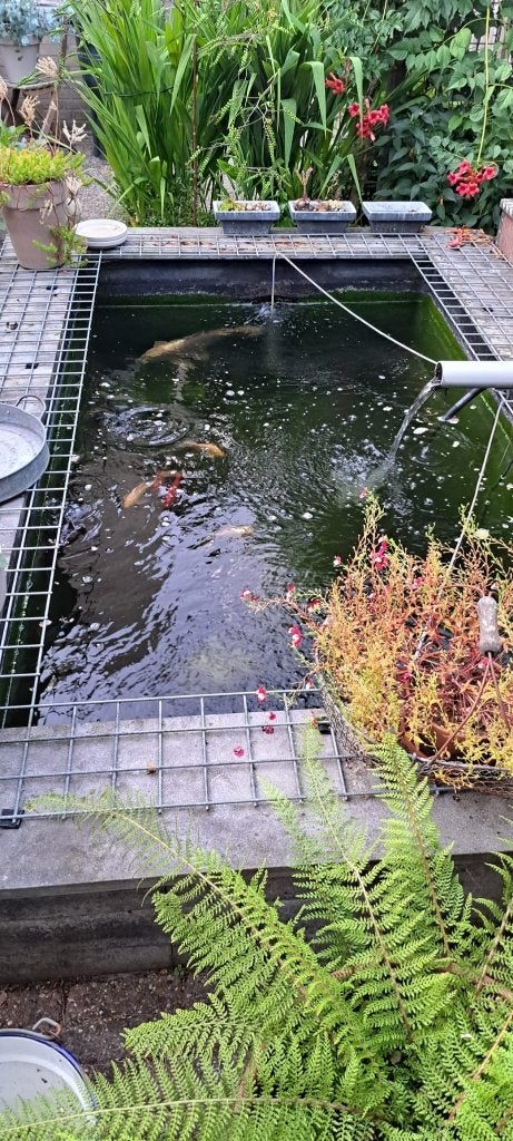 Vijvers, Tuin en Terras, Vijvers, Ophalen, Gebruikt