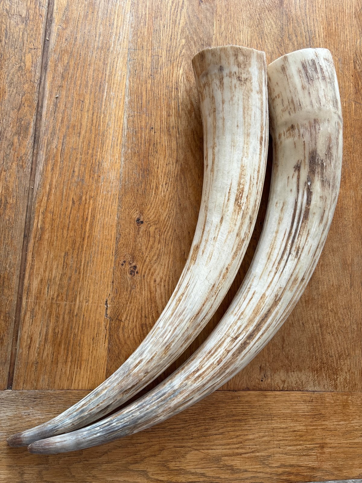 Decoratieve Hoorns - Set van 2, Ophalen