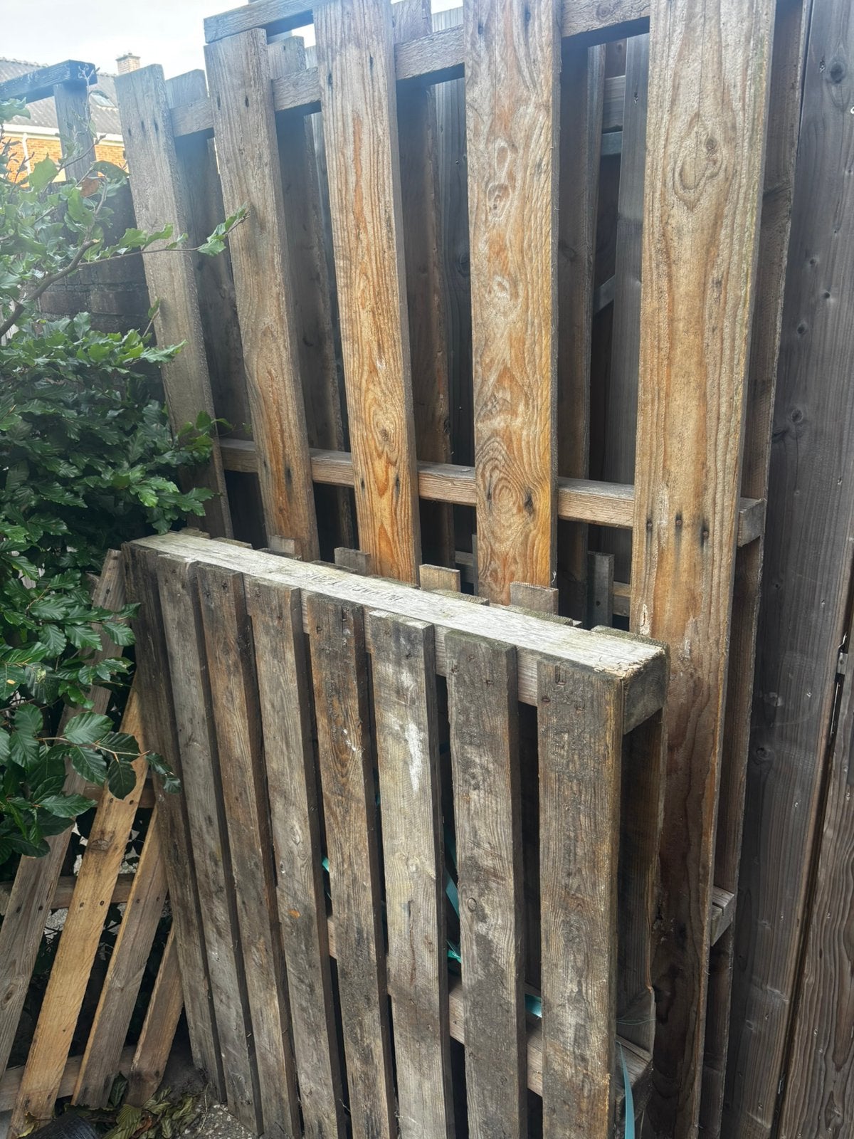 Gratis pallets ophalen, Doe-het-zelf en Verbouw, Hout en Planken, Ophalen, Gebruikt, 300 cm of meer, Overige houtsoorten