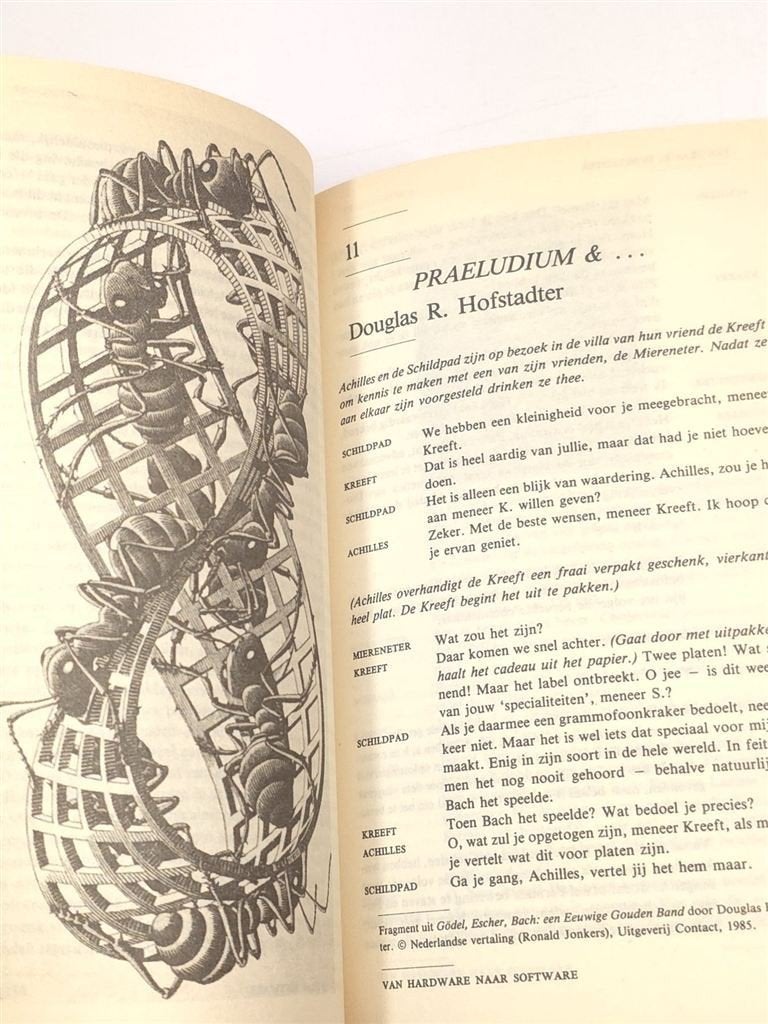 De Spiegel van de Ziel — Fantasieën over Ik en Geest, Ophalen of Verzenden, Zo goed als nieuw