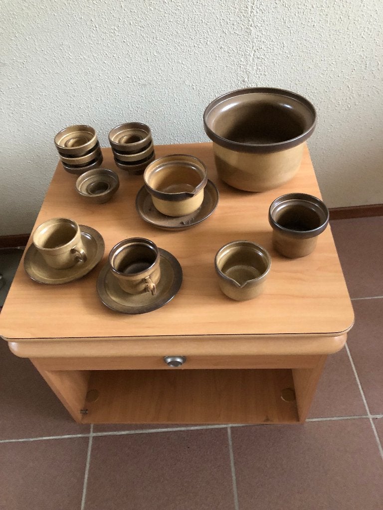 Te koop gedeelte van een nieuw servies., Overige typen, Nieuw, Ophalen of Verzenden, Overige stijlen