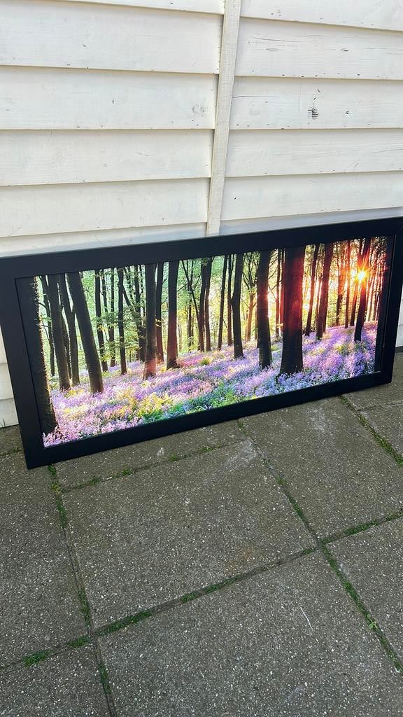 PURE LIVING Schilderij met lijst Forest 60x130 cm, Ophalen, Zo goed als nieuw, Schilderij