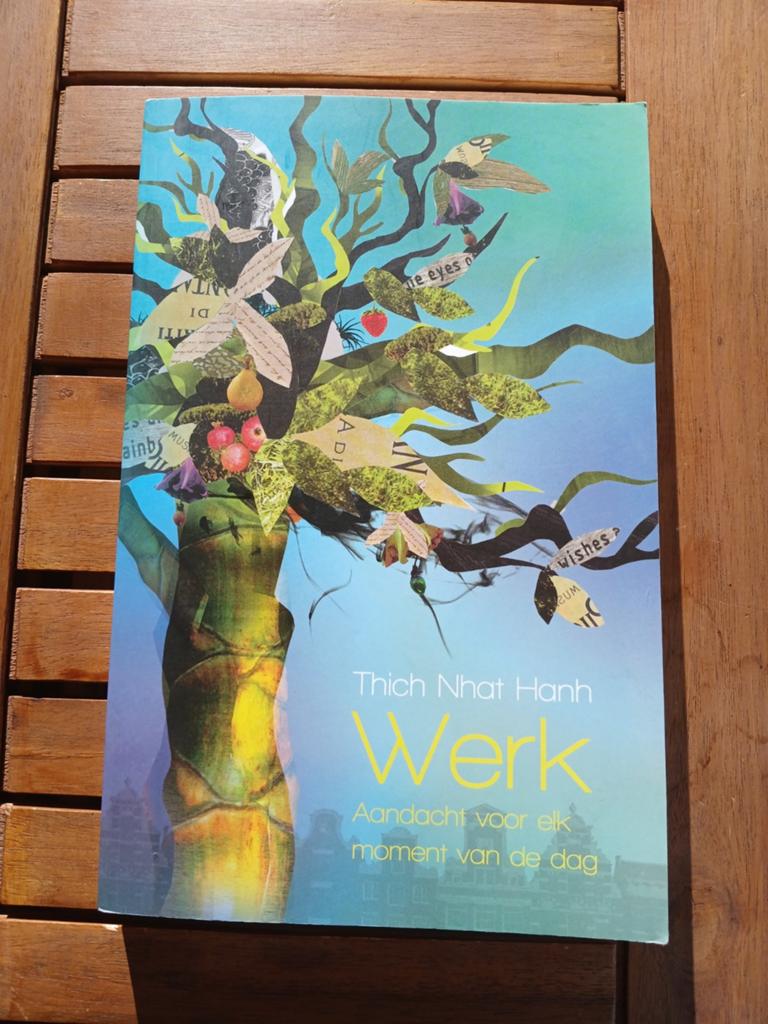 Werk Aandacht voor elk moment Thich Nhat Hanh NIEUW VASTE PR, Boeken, Thich Nhat Hanh, Nieuw, Ophalen of Verzenden, Meditatie of Yoga