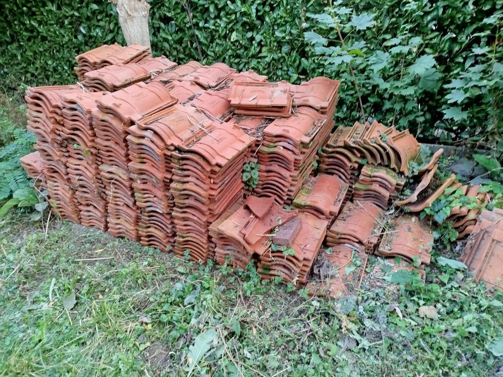 Gratis af te halen dakpannen, Doe-het-zelf en Verbouw, Ophalen, Gebruikt, Steen of Klei, 15 m² of meer