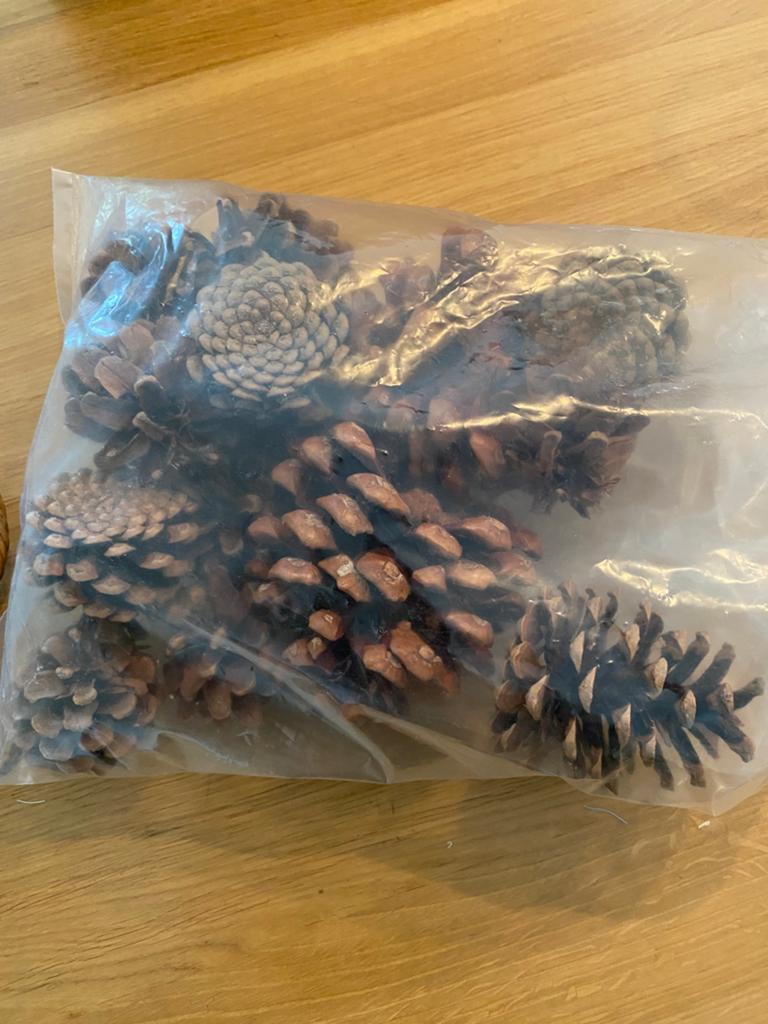 Decoratie dennenappels, Ophalen of Verzenden, Natuurlijk materiaal, Bruin, Landelijk
