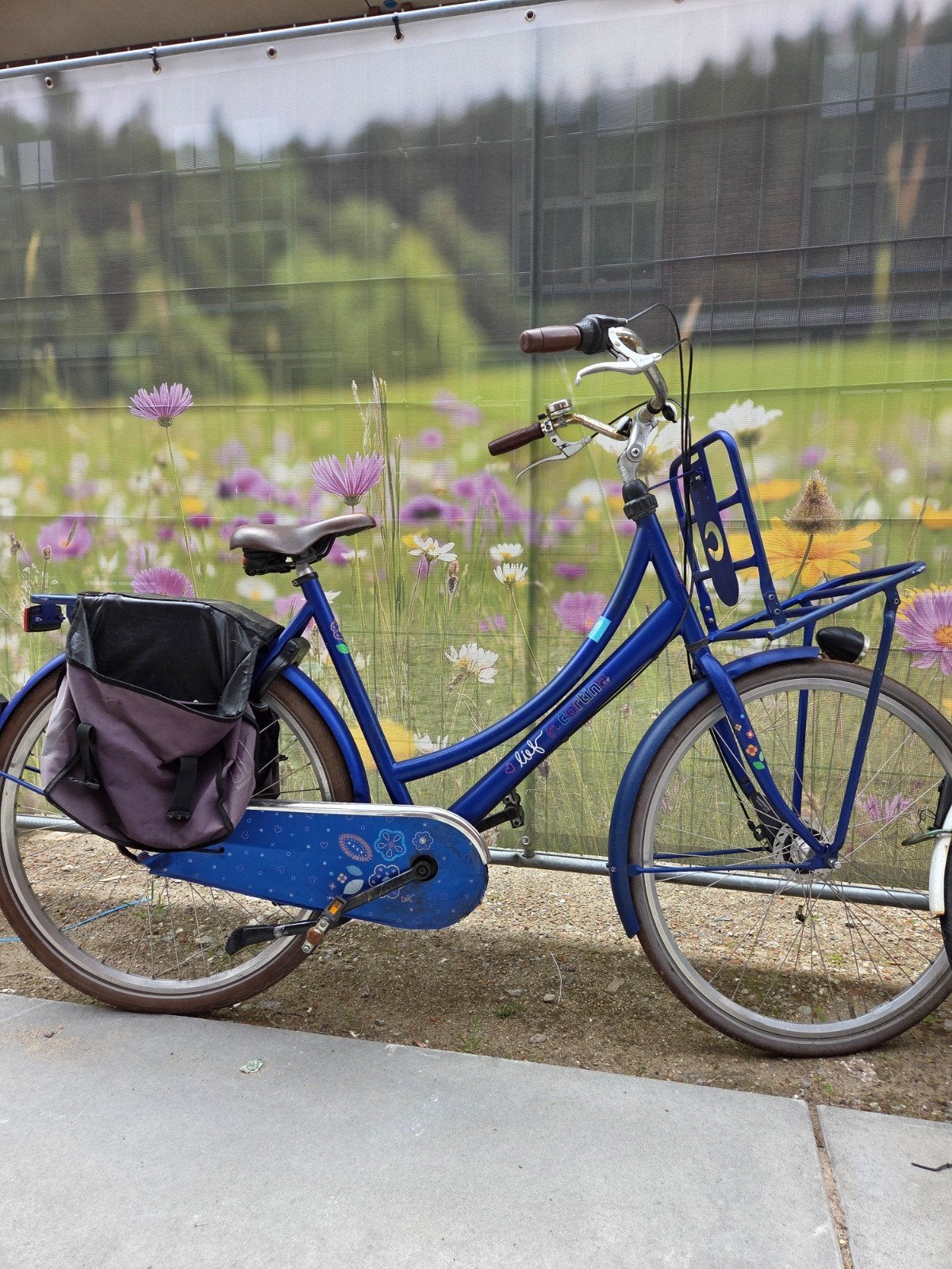 Blauwe cargobike cortina voordrager en versnellingen, Overige merken, Gebruikt, Versnellingen, Ophalen of Verzenden