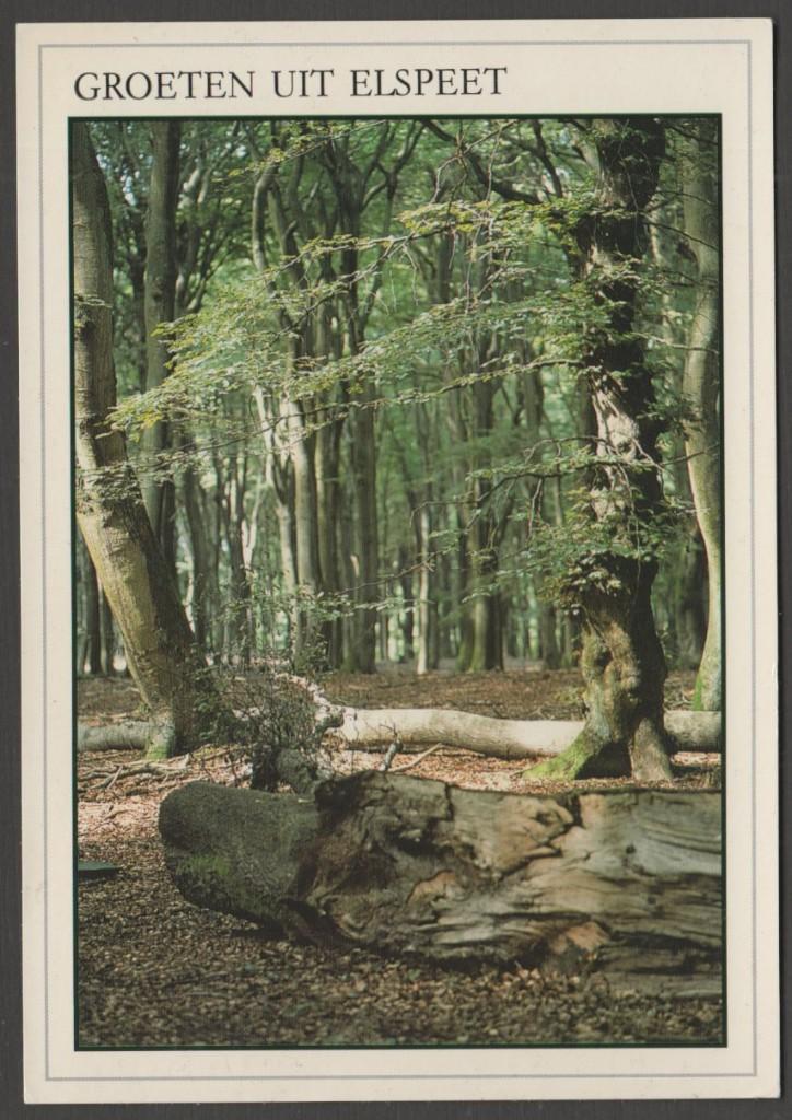 Elspeet Groet Bos Natuur Gelopen 1997 Zegel 80 ct, Verzenden, 1980 tot heden, Gelopen, Gelderland