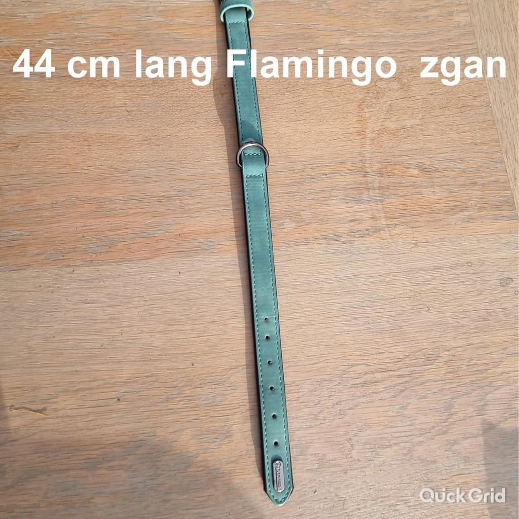 Nieuwe halsband, Ophalen