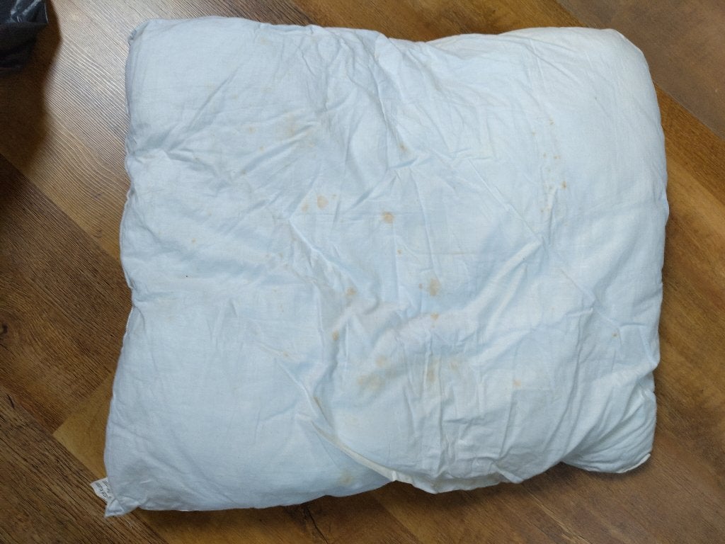 hoofdkussen met veren, Ophalen, Gebruikt, Eenpersoons, Wit