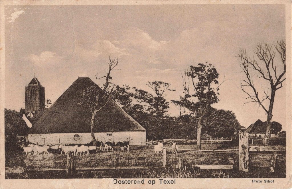 Oosterend op Texel AT355, Ophalen, 1920 tot 1940, Gelopen, Waddeneilanden
