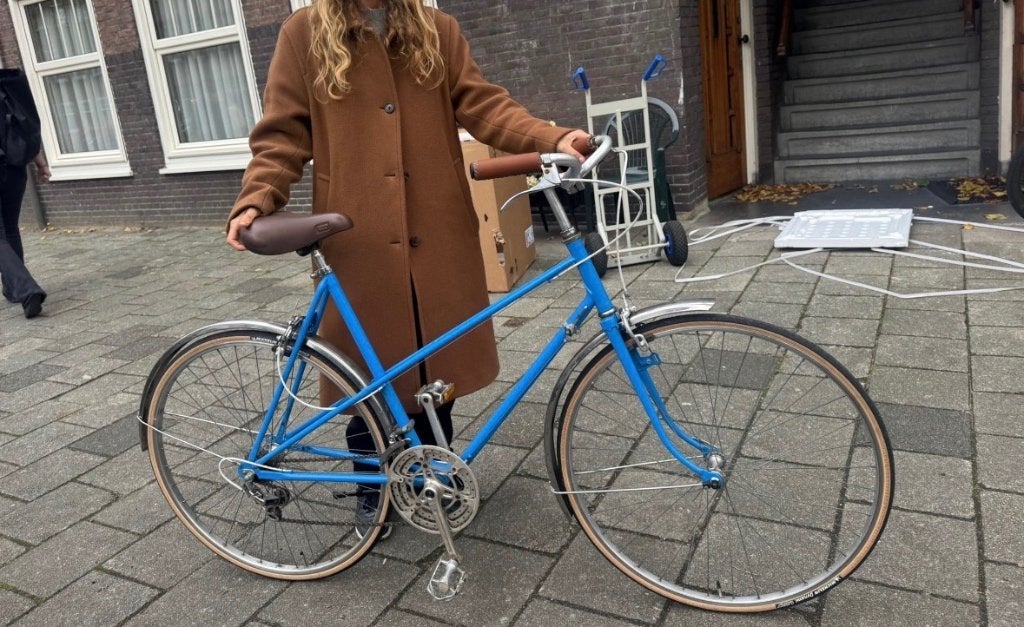Stadsfiets / fixie, Minder dan 10 versnellingen, Gebruikt, Staal, Dames