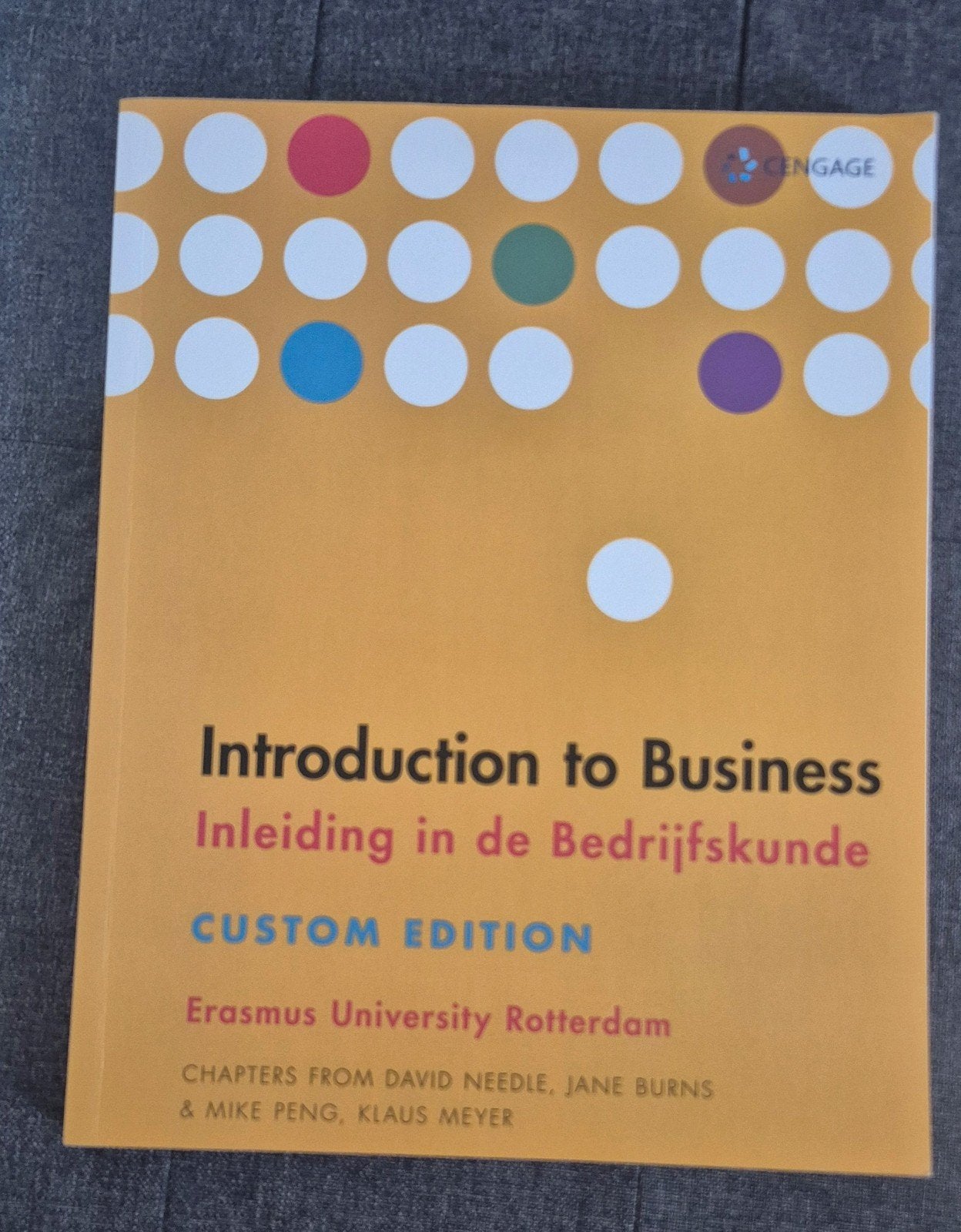 Introduction to Business: Inleiding in de Bedrijfskunde, David Needle, Jane Burns, Mike Peng, Klaus Meyer, Ophalen of Verzenden