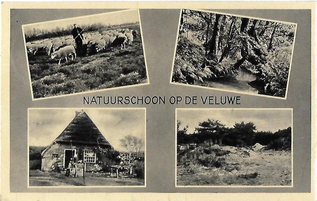 De Veluwe Oude Gelopen Ansichtkaart ( 8386 ), Ophalen of Verzenden, 1920 tot 1940, Gelopen, Gelderland