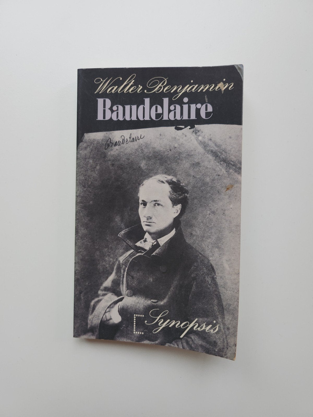 Walter Benjamin Baudelaire Synopsis
Nederlandstalig, Boeken, Ophalen of Verzenden, Gelezen
