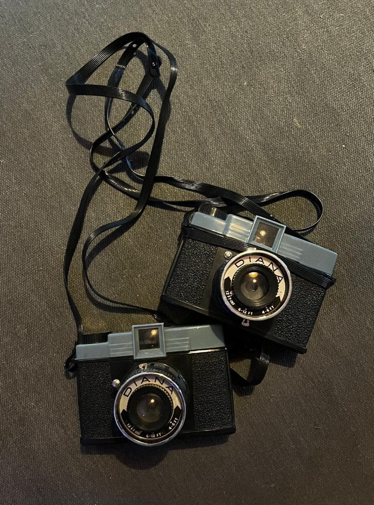 2 Vintage Diana 120 Filmcamera's – Origineel – Lomography, Audio, Tv en Foto, Fotocamera's Analoog, Ophalen of Verzenden, Gebruikt
