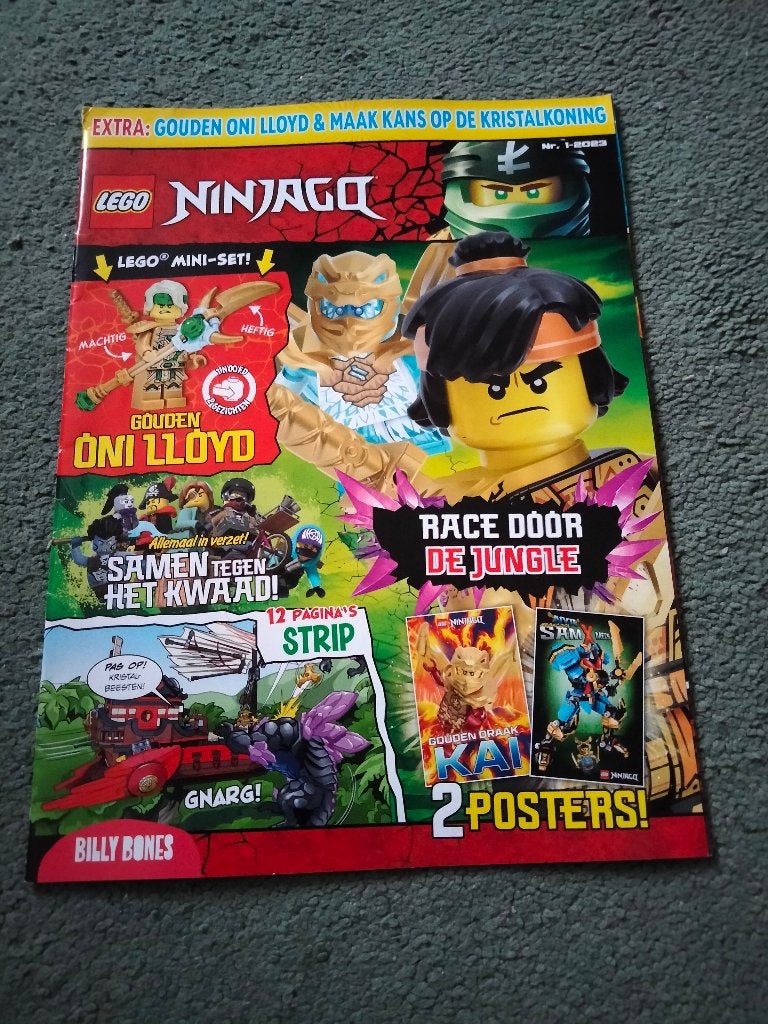 lego boekjes/posters/turtlesposter, Ophalen